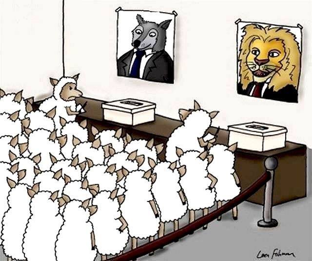 10425187 10203748632293599 7022747502129665435 n