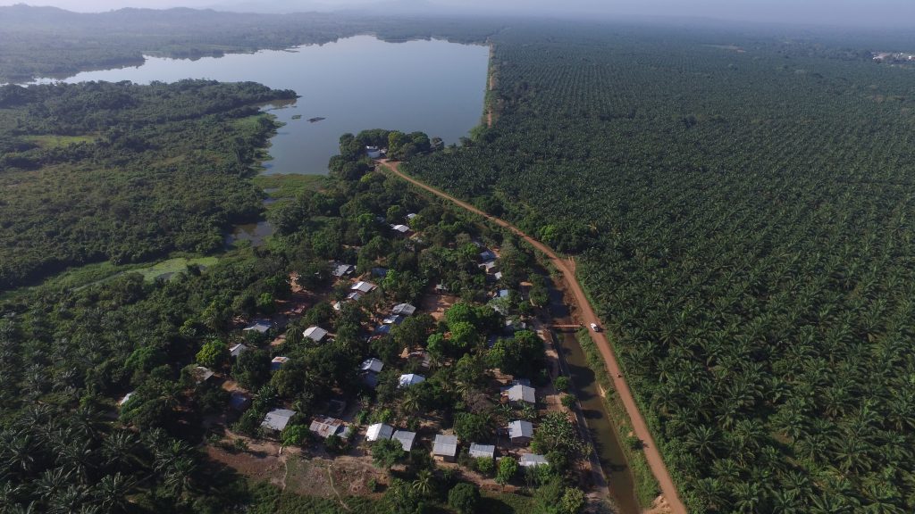 Foto cortesia archivo Corporacion Desarrollo Solidario 1024x576