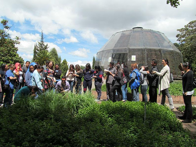Hospital en Colombia cura a sus pacientes con plantas medicinales 3