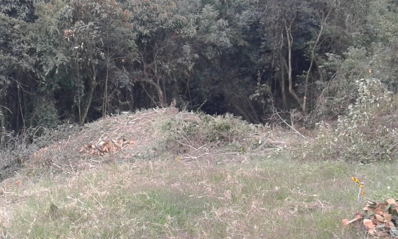 IMG 20170928 WA0113