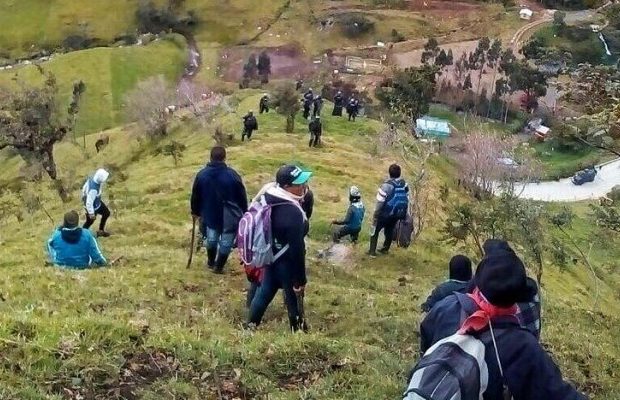 Kokonuko 1 770x400 620x400