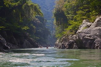 Samana Green peace