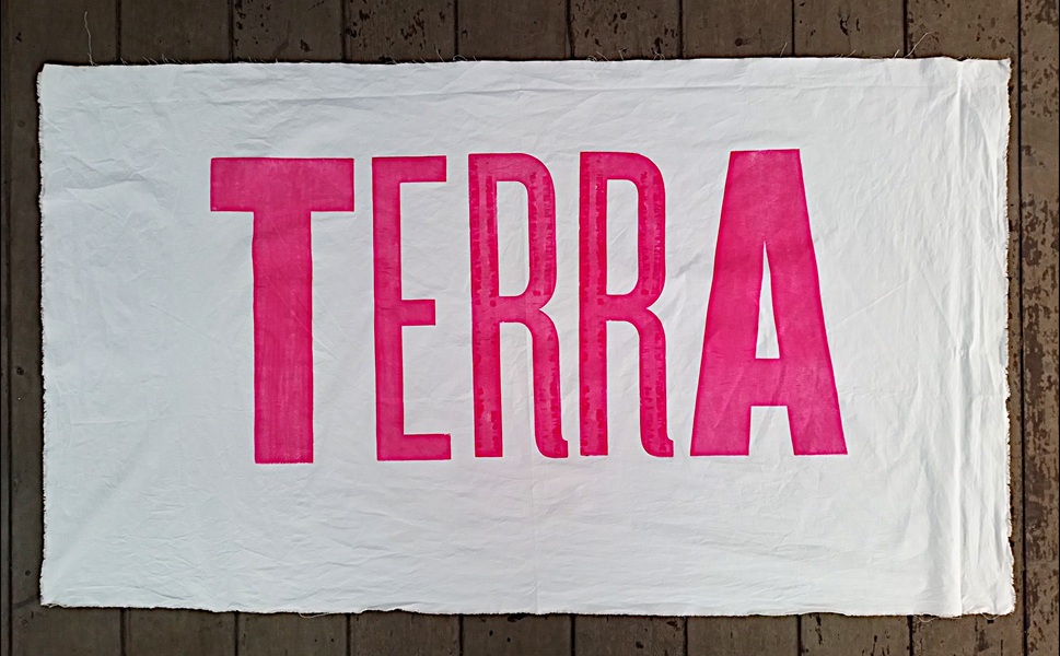 TerrA scaled