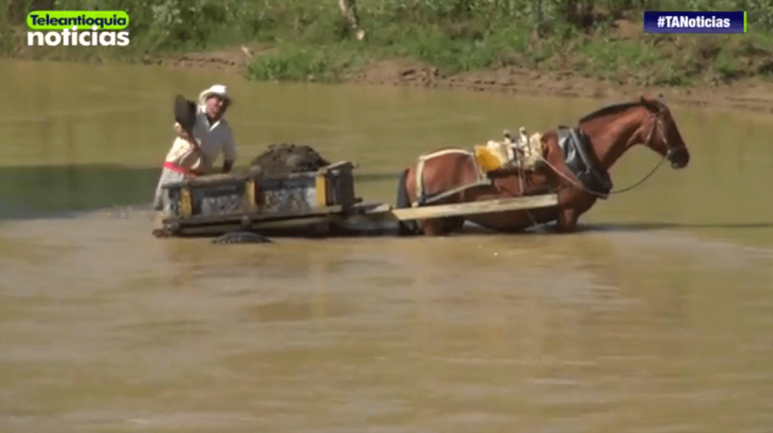Urrao Pueblo Rico Tamesis y Jardin prohiben mineria