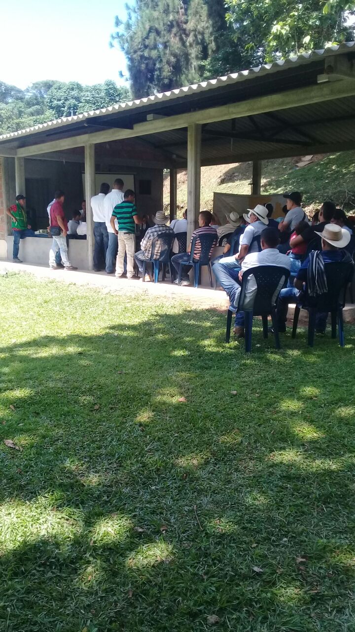 WhatsApp Image 2017 08 13 at 11.24.12