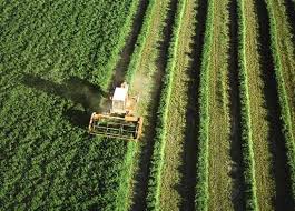 agriculatura industrial