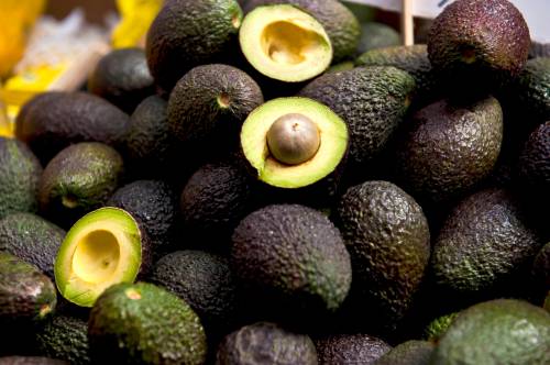 aguacate hass