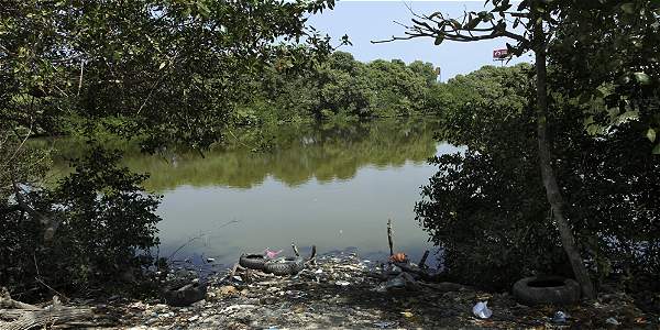 biodiversidad colombia