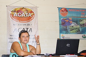 caucana