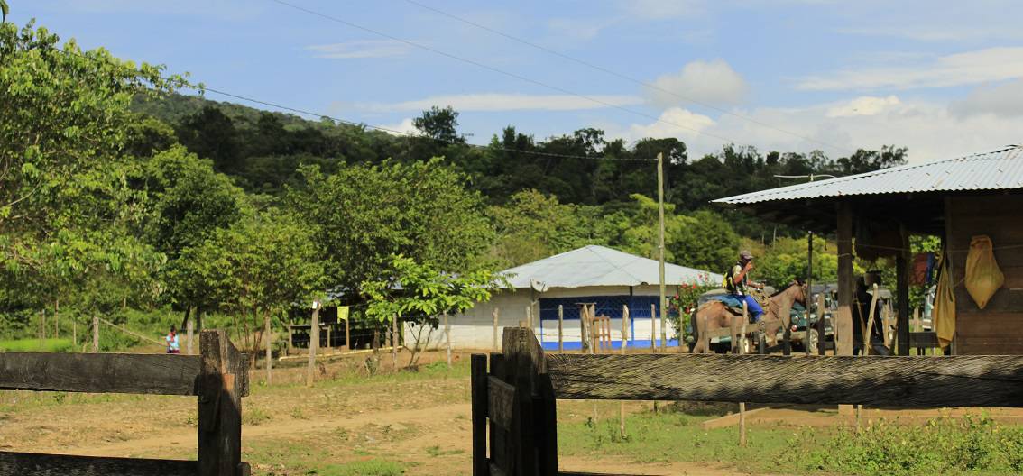 00 fff antioquia despoja