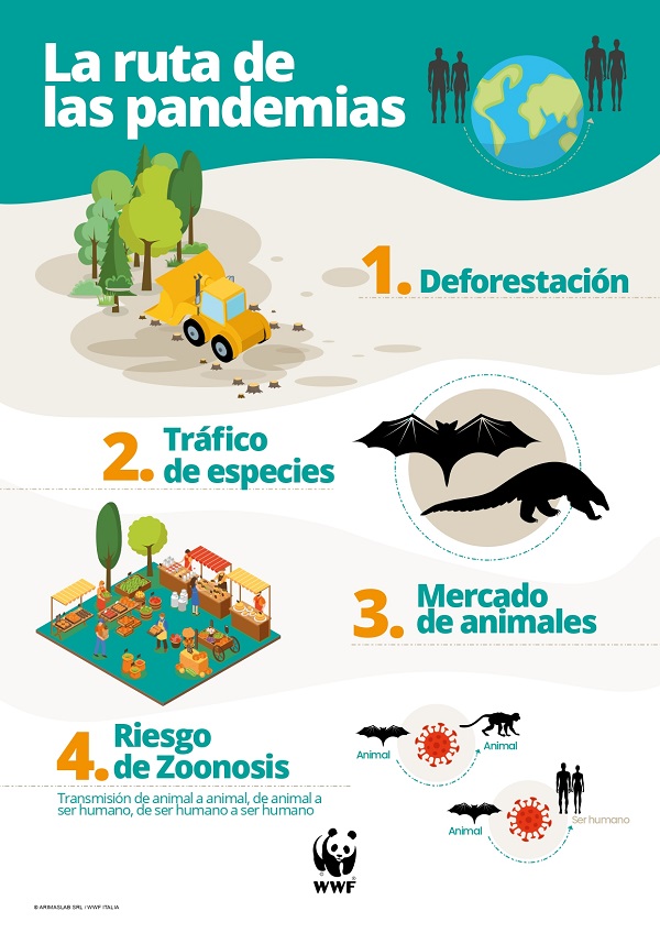 naturaleza y pandemias wwf 9 page 0001