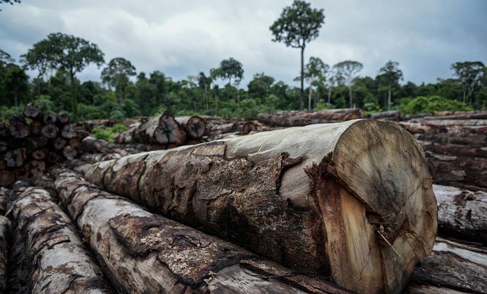 izquierda no sabe quien es