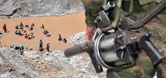 medio mabiente victima