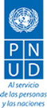 pnud