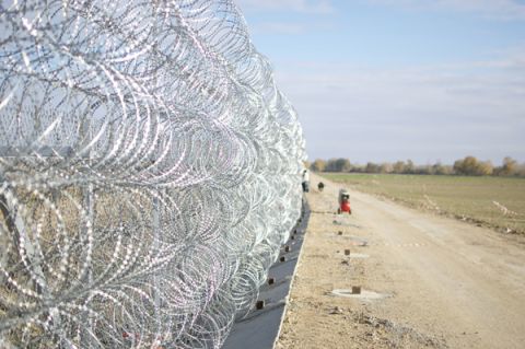 refugiados 2