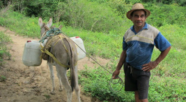 semana burro