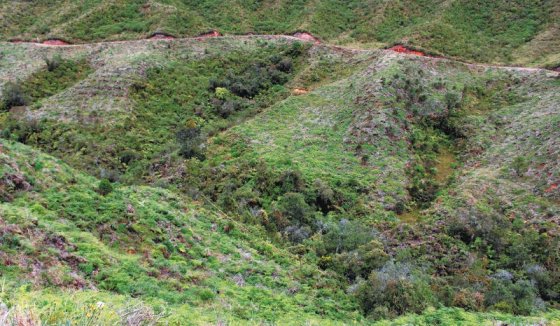 sta rosa agua