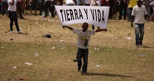 terra y vida