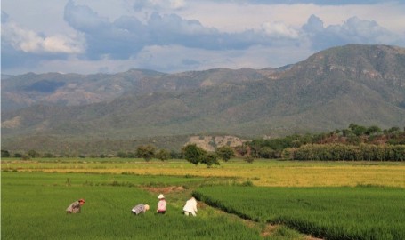tierras despojo